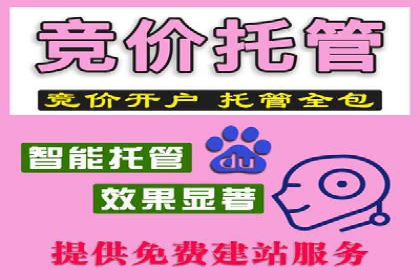 百度推广代运营案例：行业领先企业的成功之道